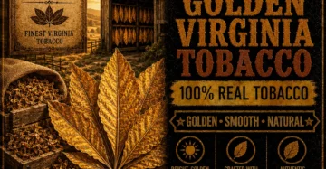 Real Golden Virginia Tobacco - Real Tobacco E-liquid