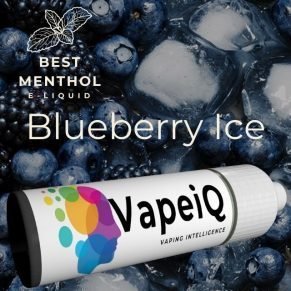 Blueberry Ice Shortfill E-liquid