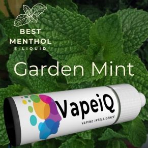 Garden Mint Shortfill E-liquid