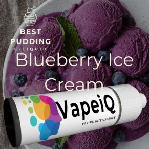 Blueberry Ice Cream