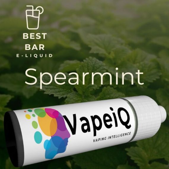 Spearmint (Tastes Like Disposables)