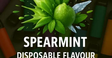 Spearmint Disposable Flavour E-liquid