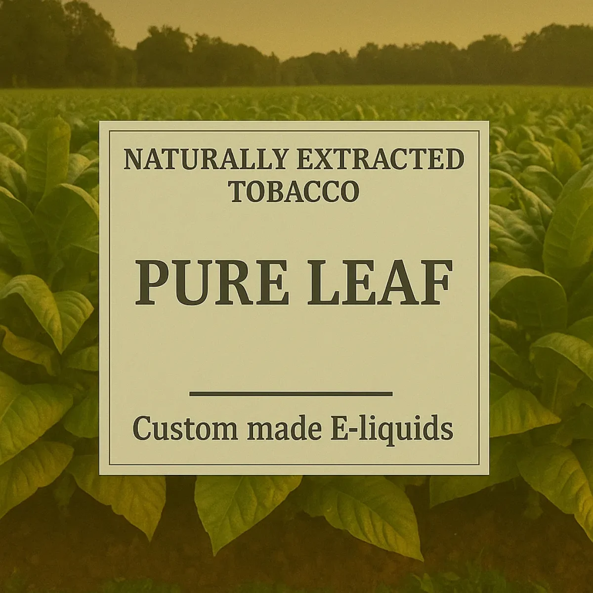 pure leaf tobacco Pure Leaf Tobacco E-liquid