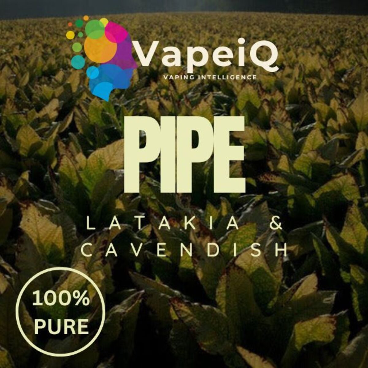 elfbar nachfüll pod läuft aus Vape Shop Holbury | White Vape Co Southampton