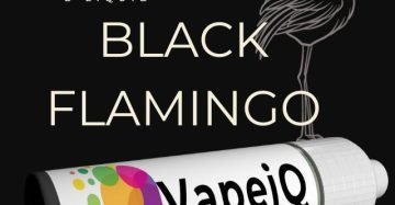 NEW! Black Flamingo | Tobacco Flavour by VapeiQ